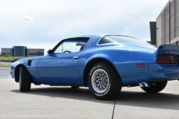 
										1978 PONTIAC FIREBIRD full									