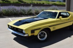 
										1972 FORD MUSTANG full									