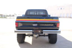 
										1976 CHEVROLET K20 full									