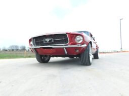 
										1967 FORD MUSTANG full									