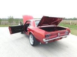 
										1967 FORD MUSTANG full									