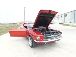 
										1967 FORD MUSTANG full									