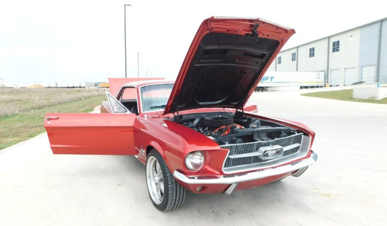 
								1967 FORD MUSTANG full									