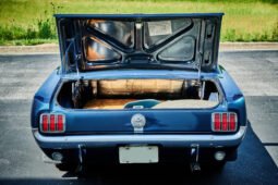 
										1966 FORD MUSTANG full									