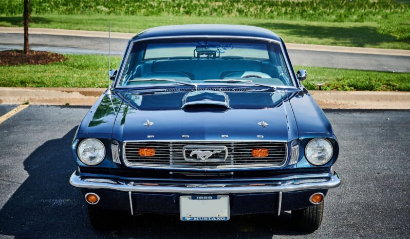 
								1966 FORD MUSTANG full									