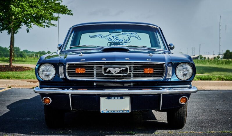 
								1966 FORD MUSTANG full									